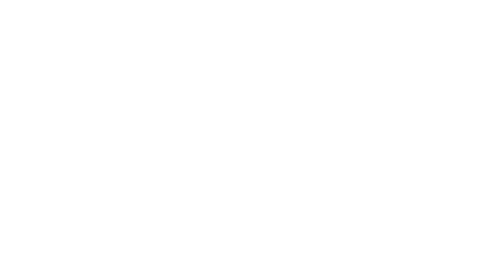 Newton Logo